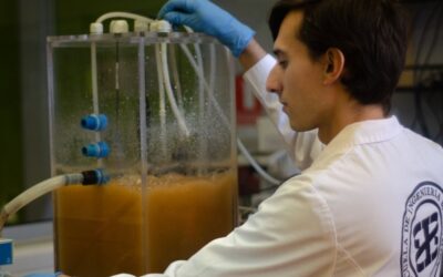 Investigan soluciones biotecnológicas para el tratamiento de aguas residuales